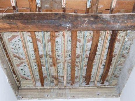 soffitto con edera e rosoni grisaille.jpg